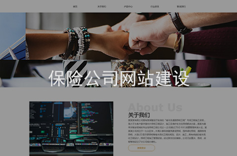 保險公司網(wǎng)站建設(shè)案例